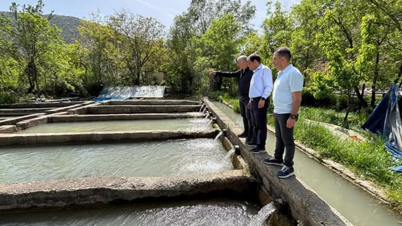 Erzincan’da Alabalık Üretimi Gelişiyor