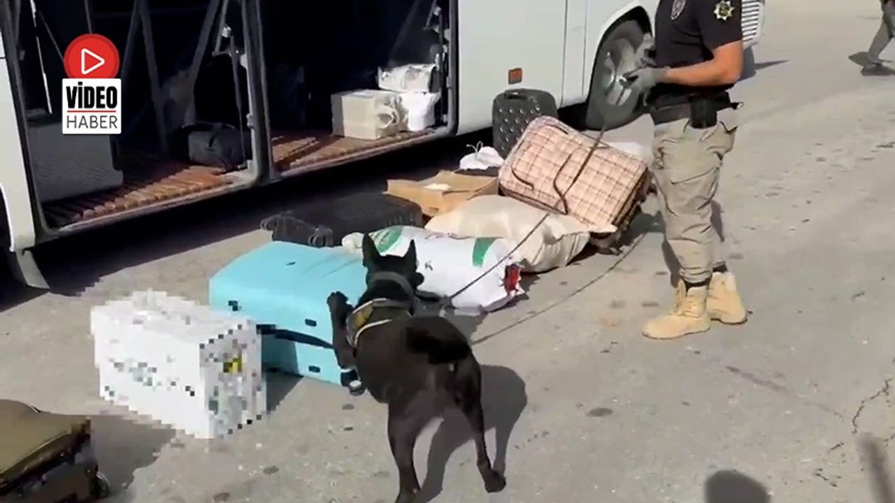 Zehir Tacirleri Naz’a Takıldı