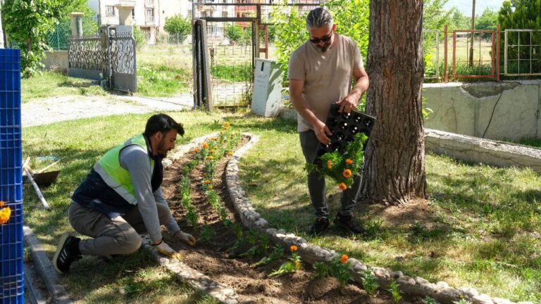 Çiçekler Toprakla Buluşuyor