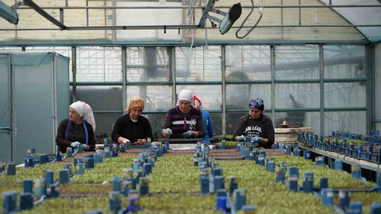 Erzincan Seracılıkta Hedef Büyütüyor