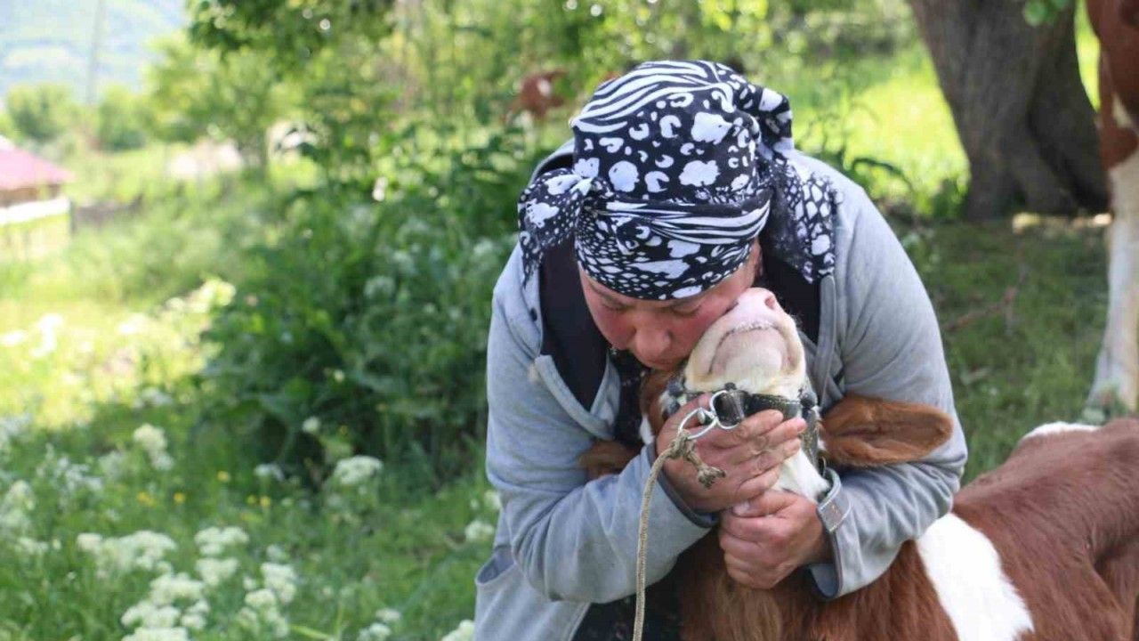 Gürcistanlı Nino, Erzincan Çiftçiliğine Renk Katıyor
