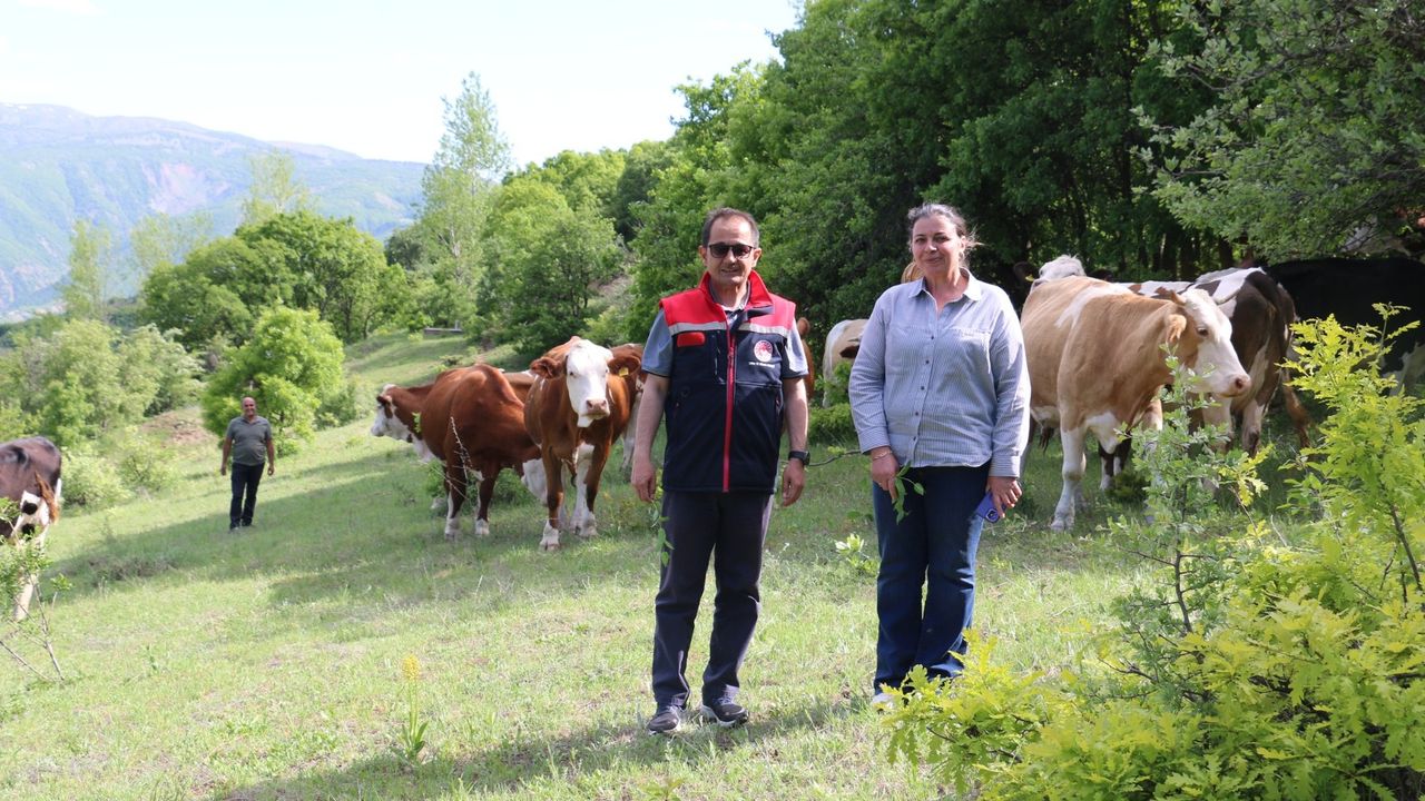 Kadın Muhtar Hayvancılıkta Örnek Oluyor