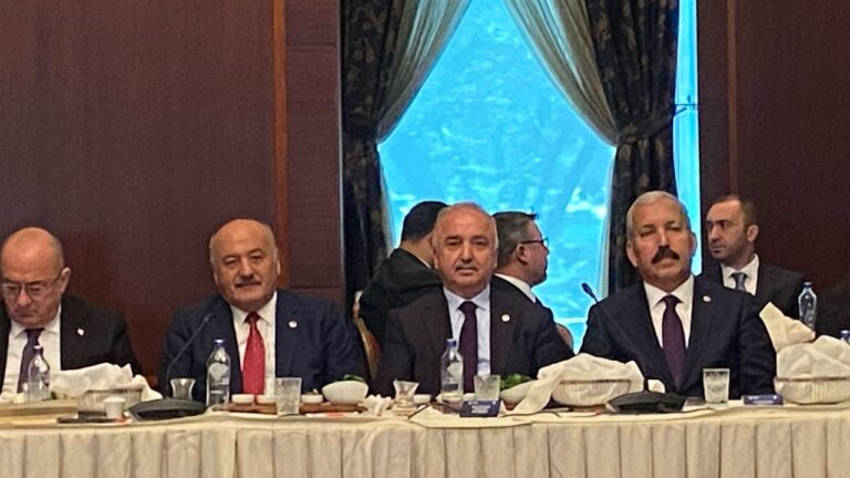 Milletvekili Karaman, Başkan Erdoğan’a Erzincan’ın Önceliklerini Anlattı