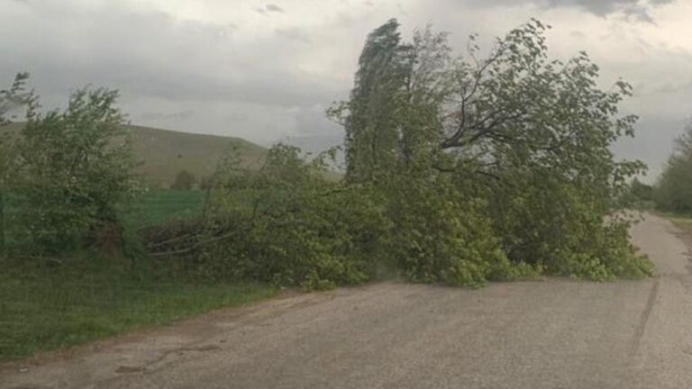 Fırtına Ağaç Devirdi Yol Kapandı