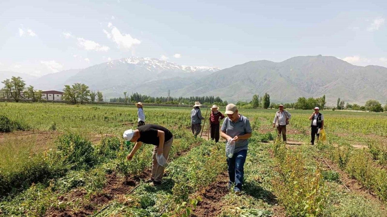 Sahada Survey Çalışması Yapılıyor