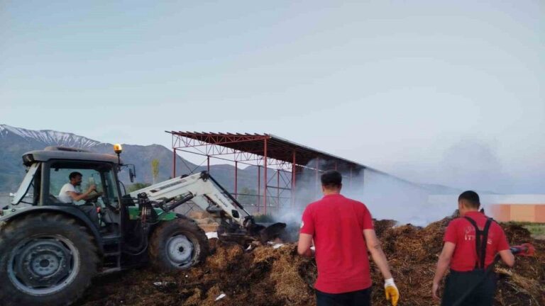 Samanlık Yangını Büyümeden Söndürüldü