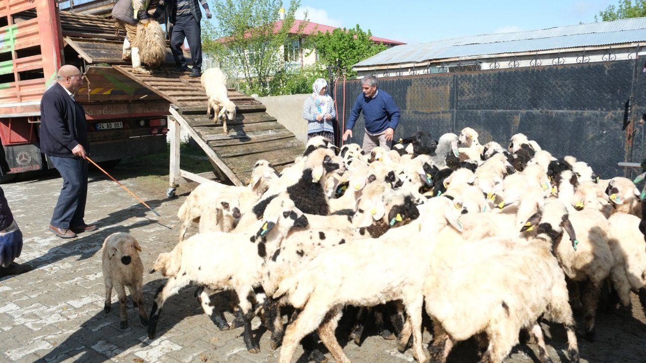 Şavaklı Üreticiler Emek Yolculuğunda