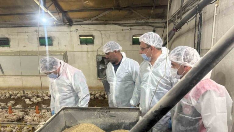 Tarım Müdürü Koçaker, Piliç Üretimi Tesislerde İncelemede Bulundu