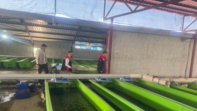 Uluköy’de Yılda 15 Milyon Yavru Balık Üretiliyor