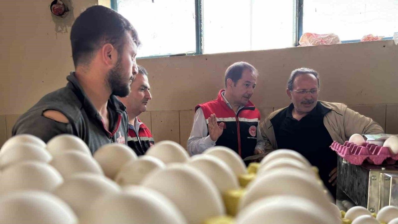 Yumurta Tavukçuluğu Sektörüne  Yeni Tesis Geliyor