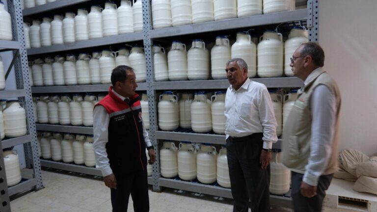 Tulum Peyniri İşletmeleri Denetleniyor