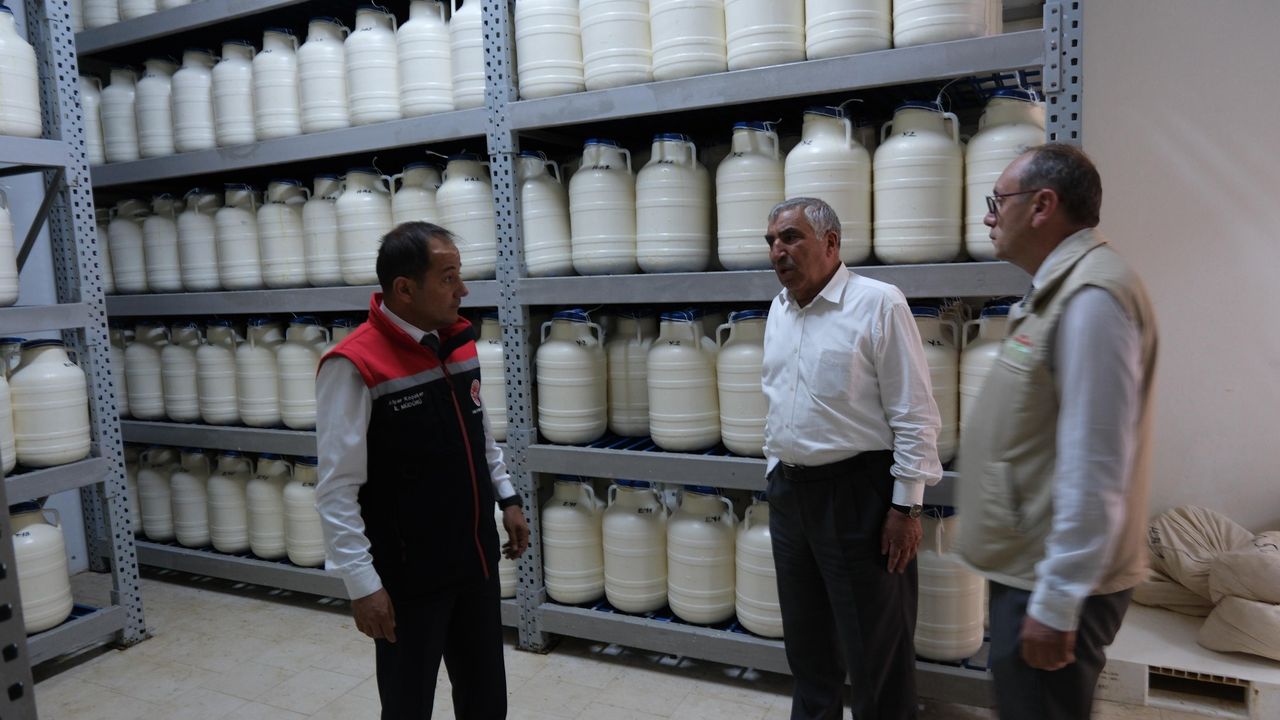 Tulum Peyniri İşletmeleri Denetleniyor