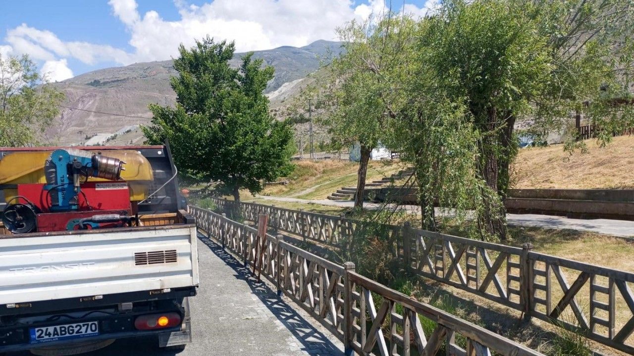 Erzincan’da Uçkun İlaçlaması Başlıyor