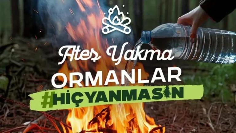 Erzincan Valiliği’nden Orman Yangınlarına Karşı Önemli Uyarı: #SebepOlma #OrmanlarHiçYanmasın