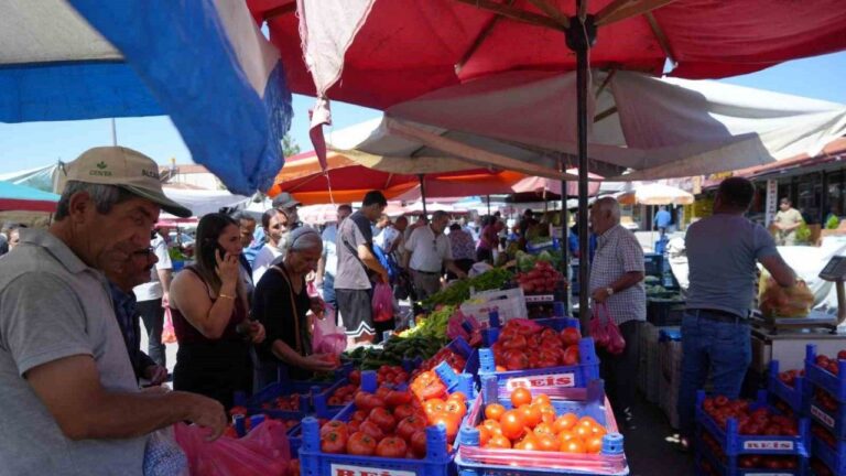 Erzincan Domatesine  Çevre İllerden Yoğun Talep Var