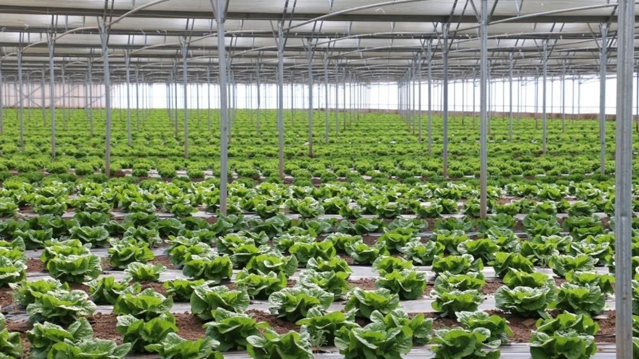 Erzincan ‘Sera Üssü’ olma yolunda ilerliyor