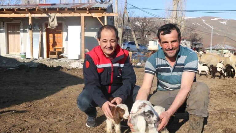 Erzincan’da Koyunculuk Kredisi 1 Milyon 200 Bin  Liraya Yükseltildi