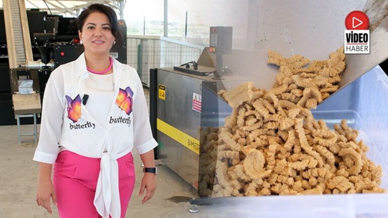 Erzincan’da Yemek Atıkları Sokak Hayvanlarına Mama Oluyor