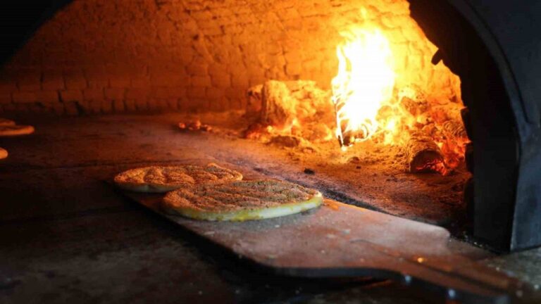 Sıcaktan Bunalanlar Kapalı Alanlara Kaçarken Onlar Serinlemek İçin Dışarı Çıkıyor