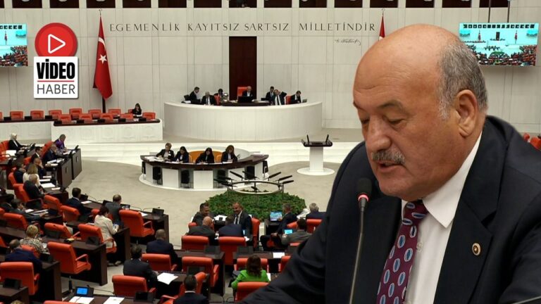 Milletvekili Karaman TBMM’de Konuştu