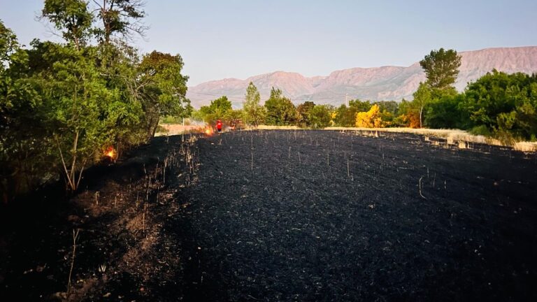 Ürek Köyünde Buğday Tarlası Yandı