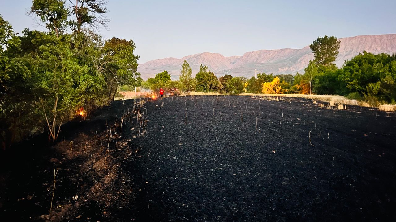 Ürek Köyünde Buğday Tarlası Yandı