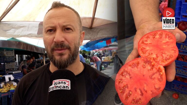 Erzincan’da Salçalık ve Menemenlik Domates Zamanı