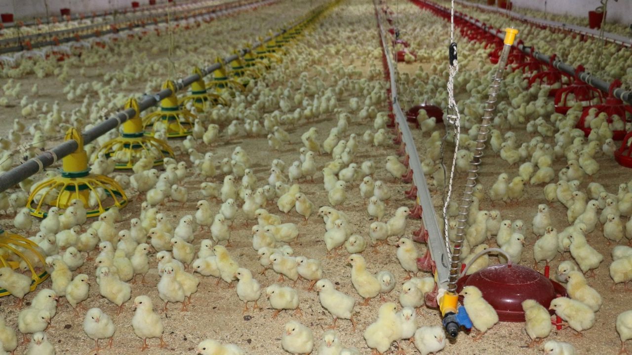 Erzincan’da Birlikten Kuvvet Doğacak