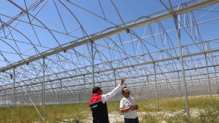 Erzincan’da Jeotermal Sera Yatırımları Devam Ediyor