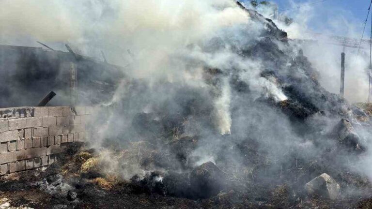 Erzincan’da Samanlık Ve Ahır Yandı