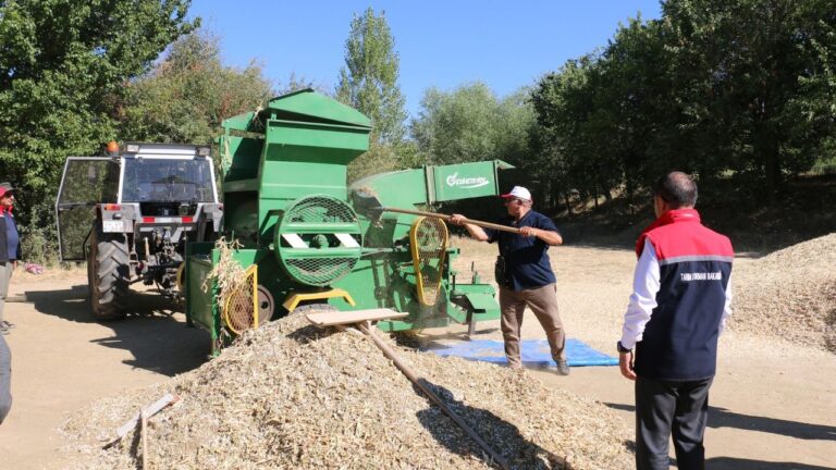 Erzincan’da Kuru Fasulyede Harman Zamanı