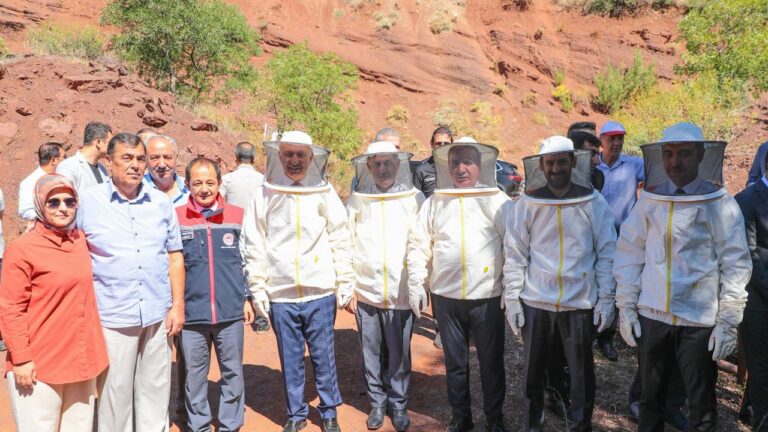 Erzincan Geven Balı Hasadı Yapıldı