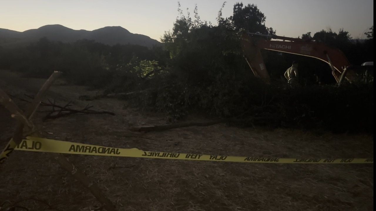 Kanal Çalışması Sırasında Devrilen Ağacın Altında Kalan İşçi Öldü