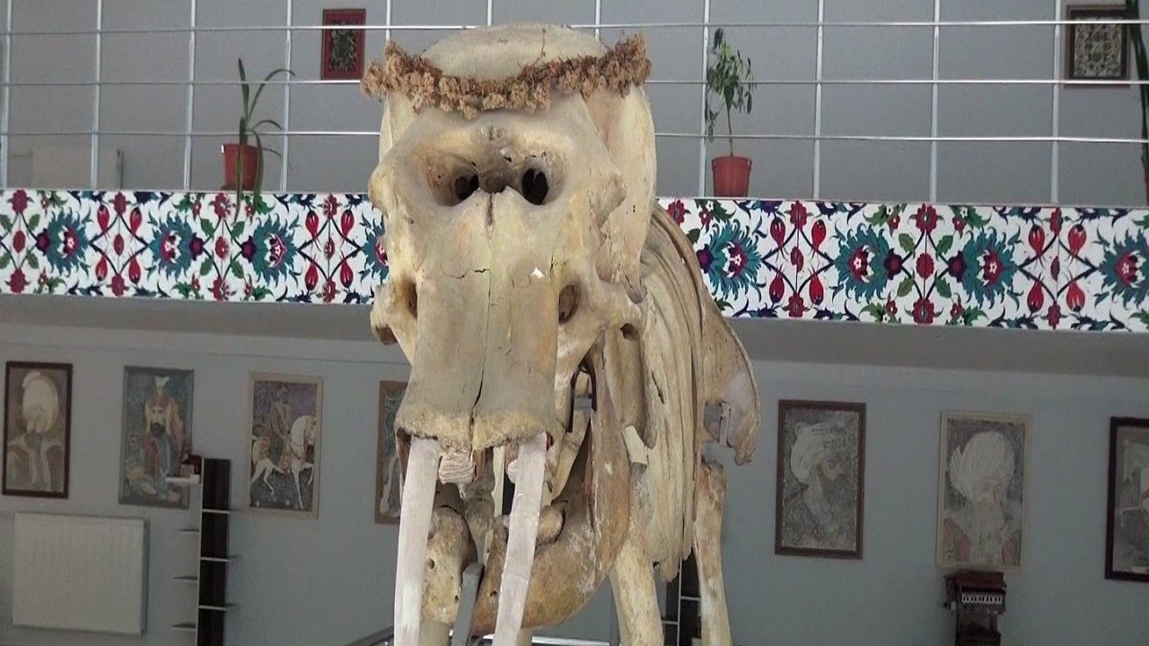 Kemaliye’deki Müzede Bulunan Objeler Arşivlendi