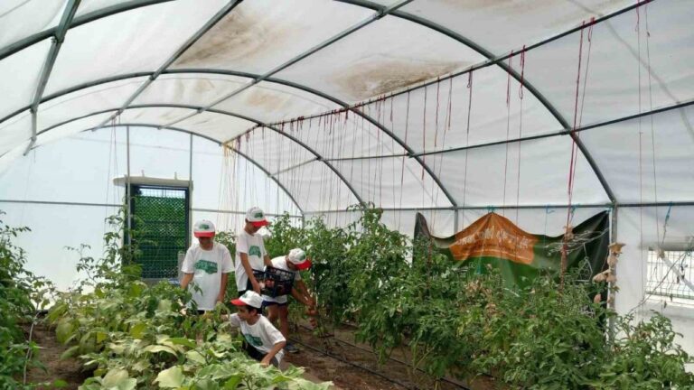 Önce Öğrenip Üretiyorlar, Sonra Yiyorlar