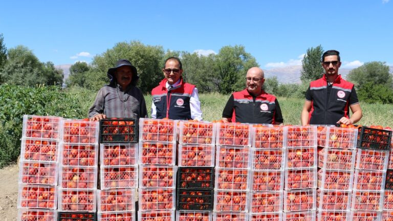 Erzincan’ın Yerli Sebzeleri Sofraları Süslüyor