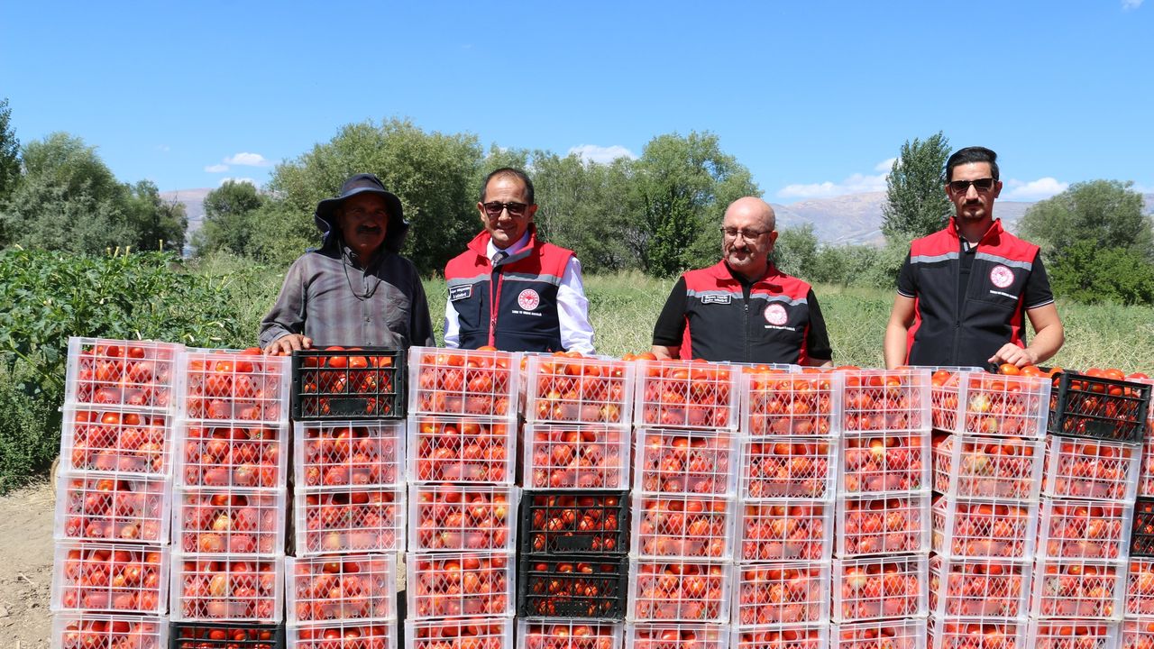 Erzincan’ın Yerli Sebzeleri Sofraları Süslüyor