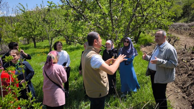 Erzincan’da Zirai Dondan Zarar Gören Çiftçilere Ödeme Yapılacak