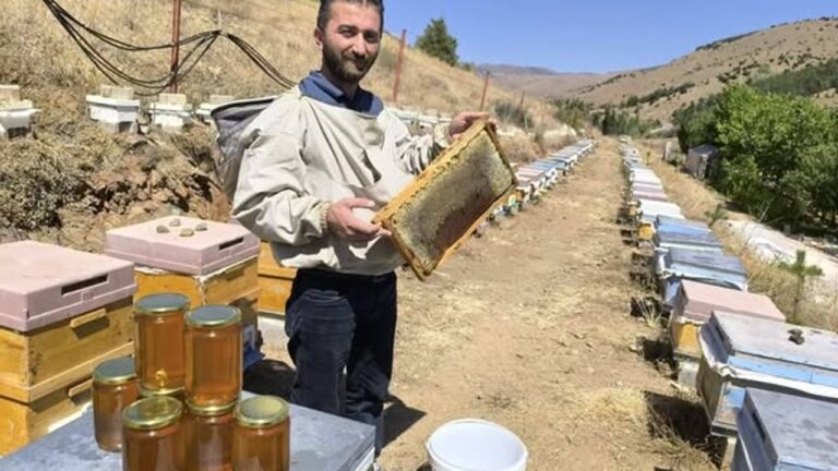 Kelkit Balı Londra’dan Ödülle Döndü
