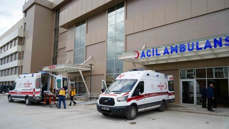 Erzincan’da Trafik Kazası: 2 Yaralı