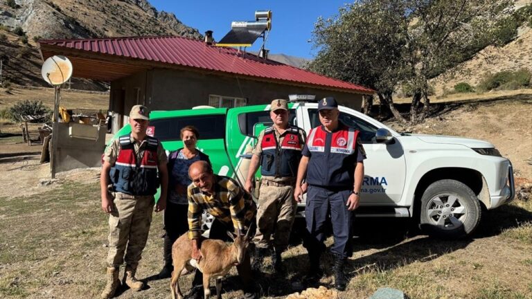 Jandarmadan Yaralı Yaban Keçisine Yardım Eli