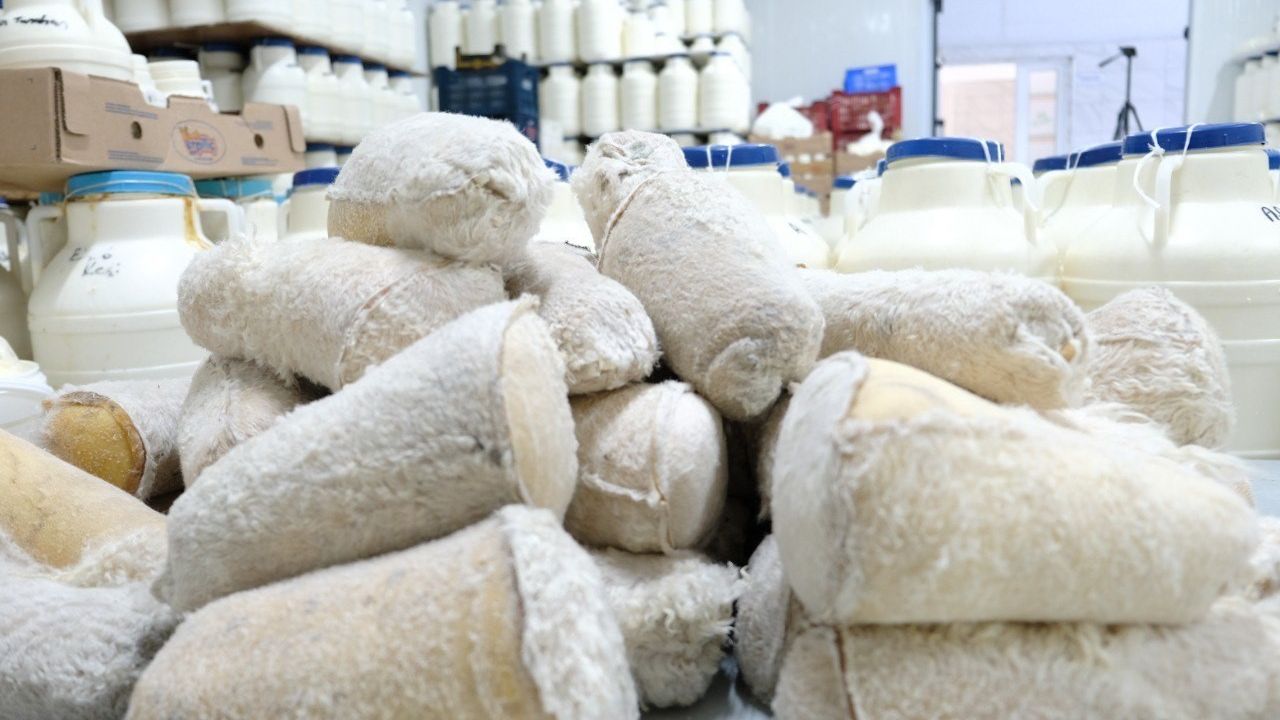 Kahvaltı Sofralarına 3 Bin Rakımdan Gelen Lezzet: Tulum Peyniri