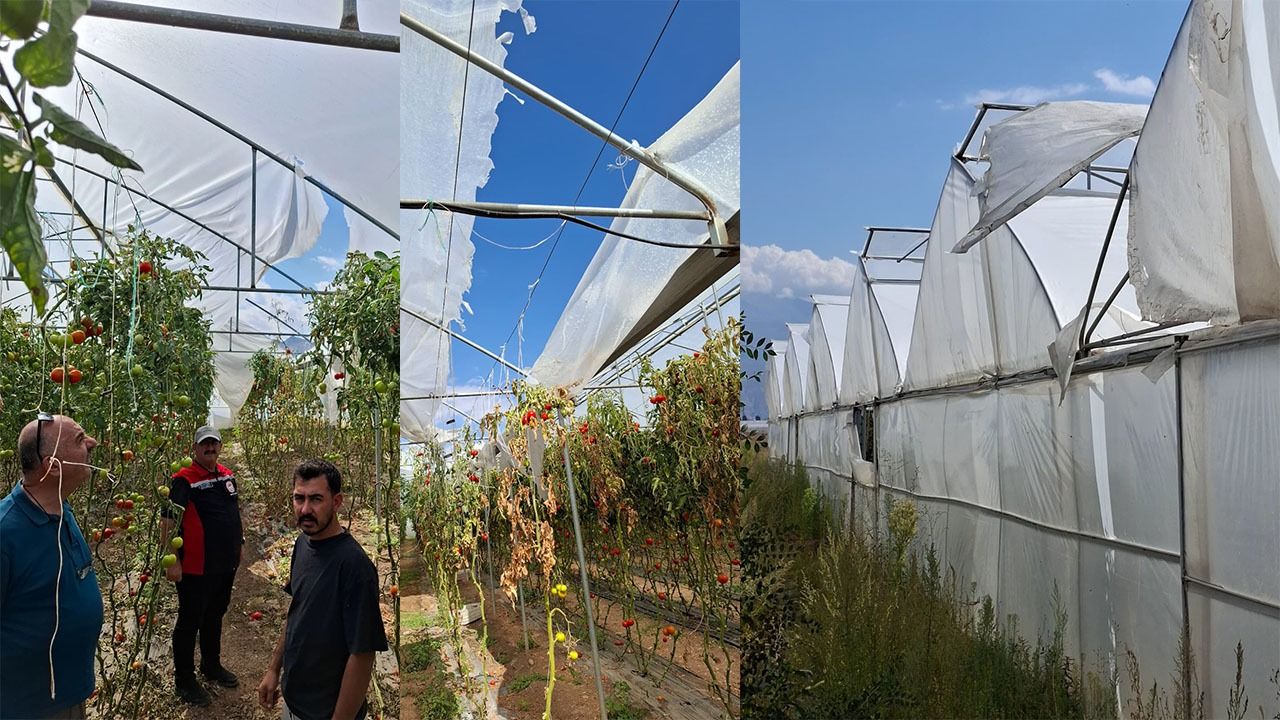 Sera Örtülerinin Yenilenmesi Projesi Uygulanıyor