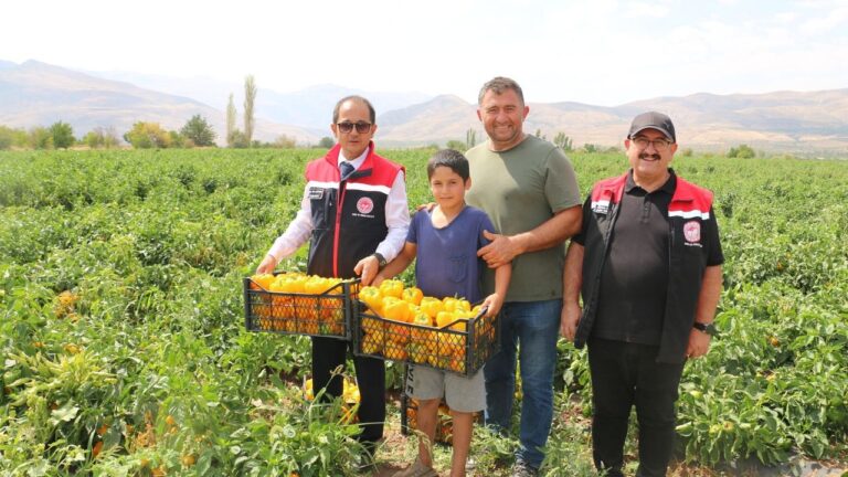 Şili, Kaliforniya, Jalapone… Hepsi Erzincan’da…