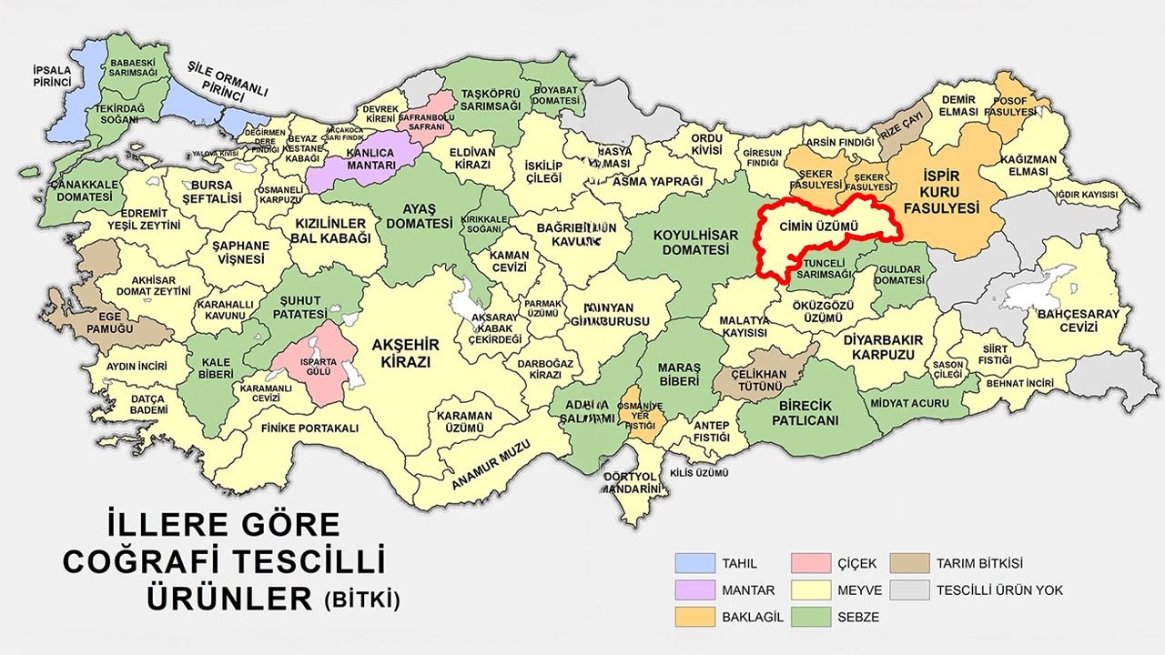 Türk Patent’ten Coğrafi İşaretli Bitkiler Listesi: Erzincan’dan Cimin Üzümü