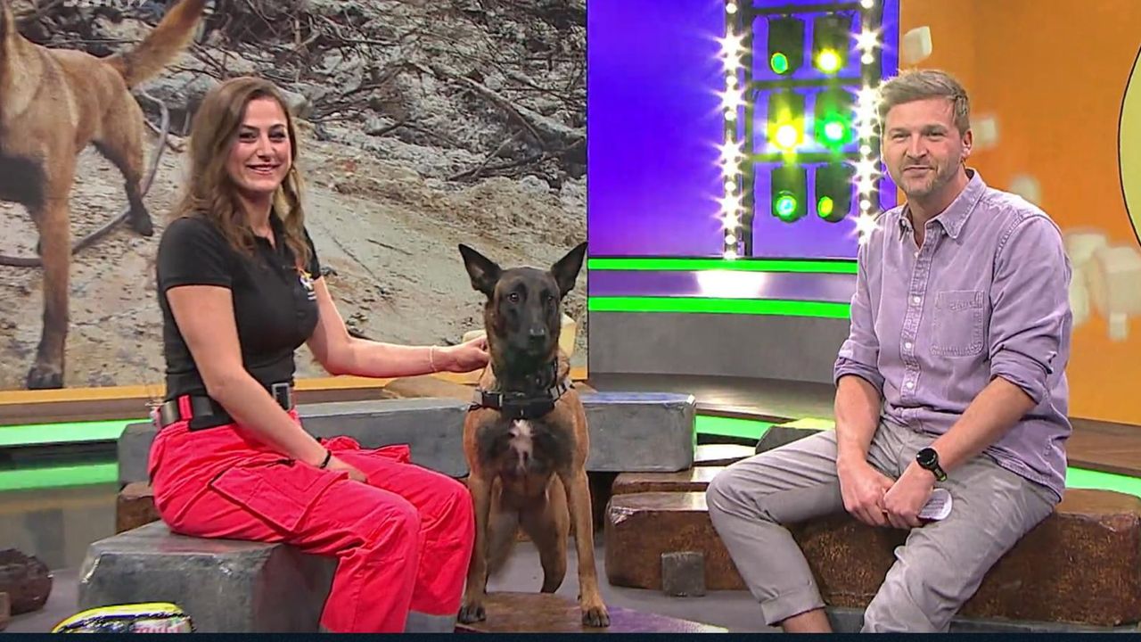 Erzincan’da Arama Kurtarma Köpeği Yetiştirilecek