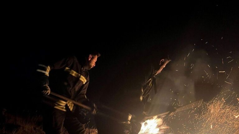 Ahmediye Geçidinde örtü yangını söndürüldü