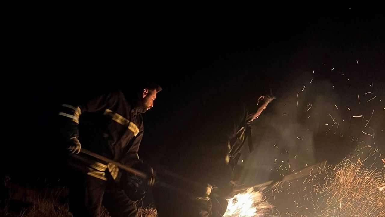 Ahmediye Geçidinde örtü yangını söndürüldü