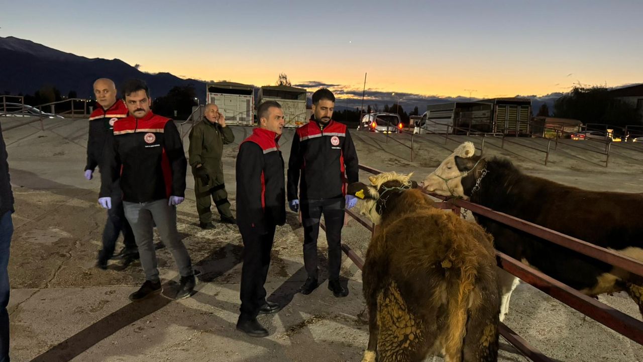 Erzincan Canlı Hayvan Pazarı Açıldı