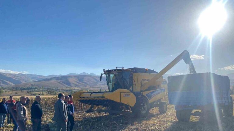Çayırlı’da Ayçiçeği Üretimi Çiftçinin Yüzünü Güldürüyor